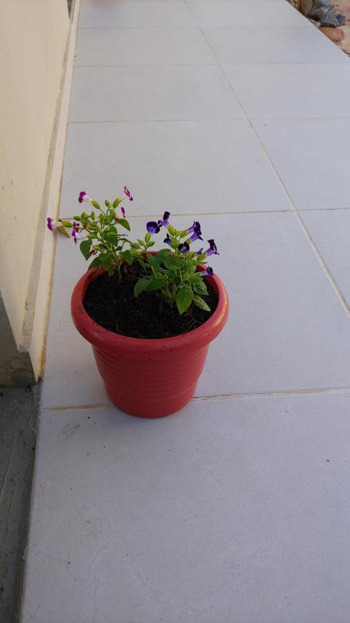 Casal Ostara Begonia Hotell Alto Paraíso de Goiás Exteriör bild