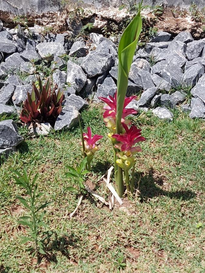 Casal Ostara Begonia Hotell Alto Paraíso de Goiás Exteriör bild
