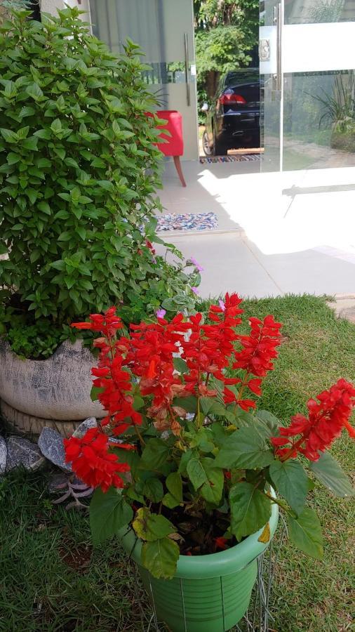 Casal Ostara Begonia Hotell Alto Paraíso de Goiás Exteriör bild